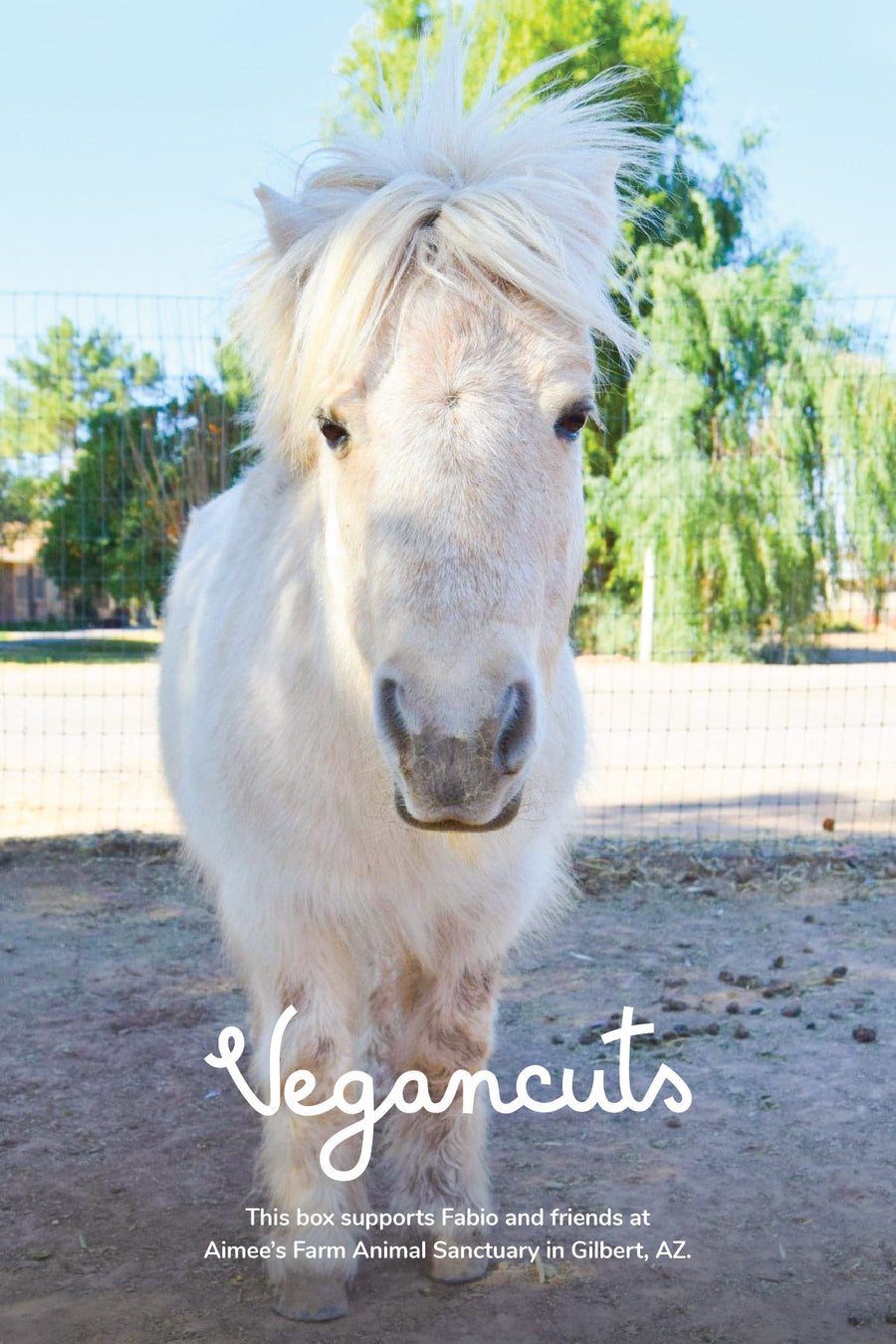 Fabio at Aimee's Farm Animal Sanctuary