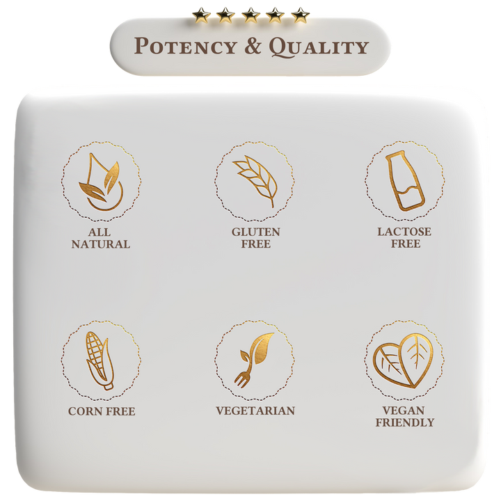 Vegan Protein Vanilla Milkshake by A Quality Life Nutrition