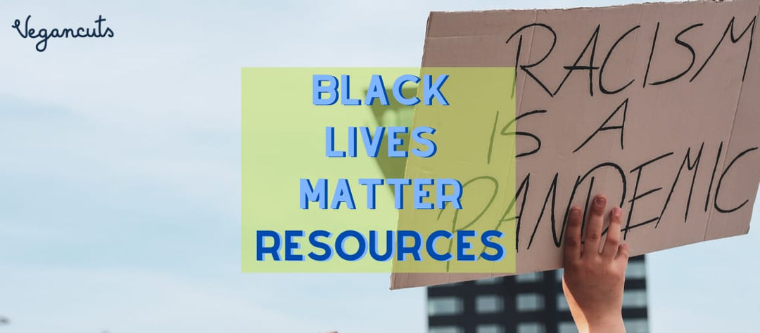 Black Lives Matter Useful Resources