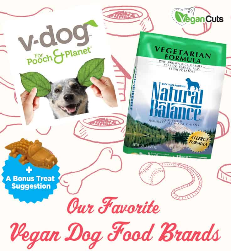 Our Favorite Vegan Dog Food Brands