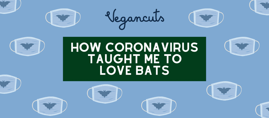 How Coronavirus Taught Me to Love Bats