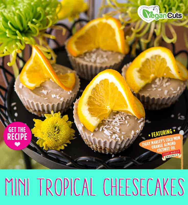 Mini Tropical Vegan Cheesecake Recipe