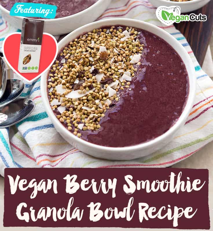 Vegan Berry Smoothie Granola Bowl Recipe