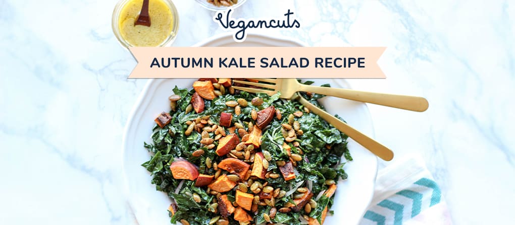 Autumn Kale Salad Recipe