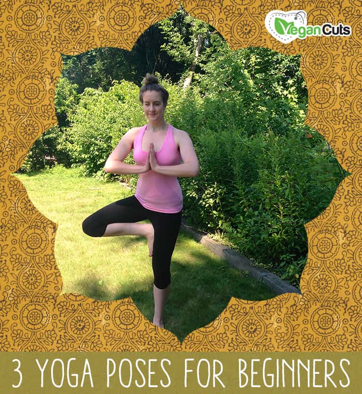 3 Yoga Poses for Beginners