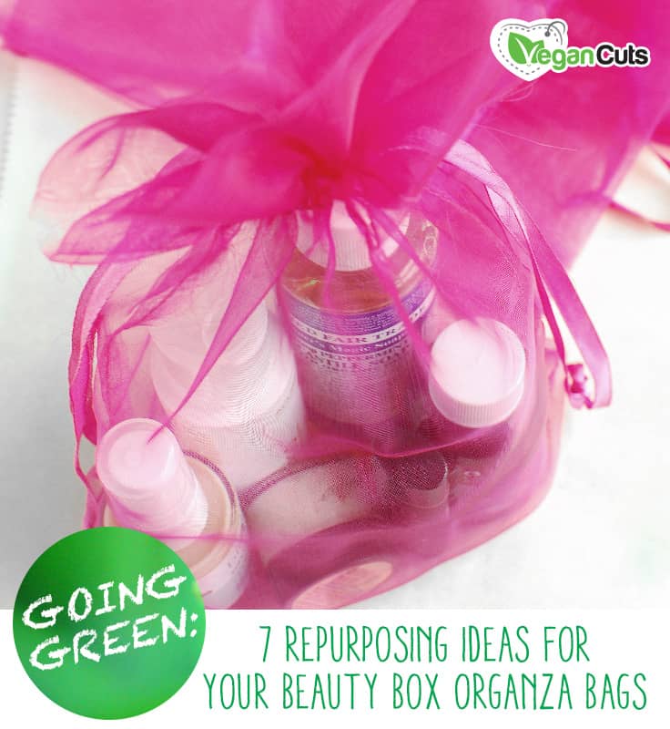 Going Green: 7 Repurposing Ideas for Organza Bags