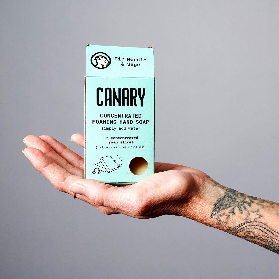 Fir Needle & Sage Concentrated Foaming Hand Soap. Front of the box in the palm of a hand. 12-count box. 