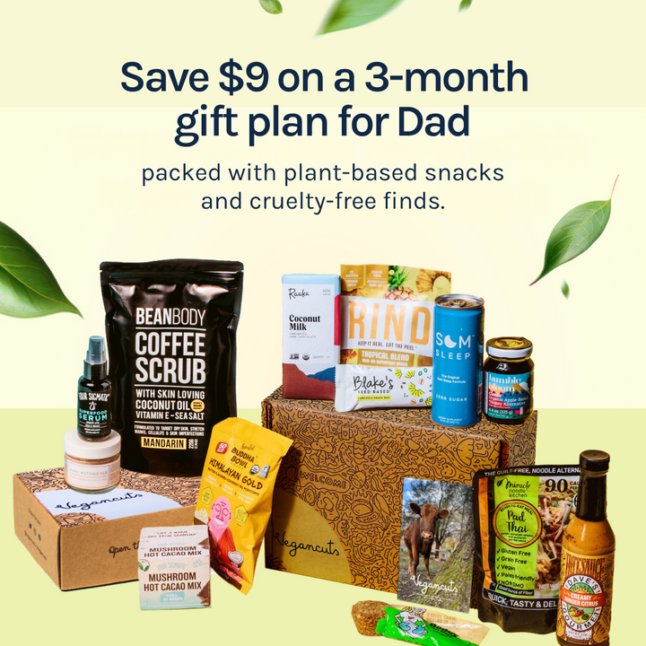🎁 Vegan Snack and Beauty Subscription Box Bundle - Gift