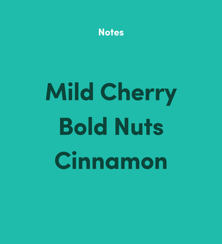 Flavor notes: Mild Cherry, Bold Nuts, Cinnamon on a teal-colored background.
