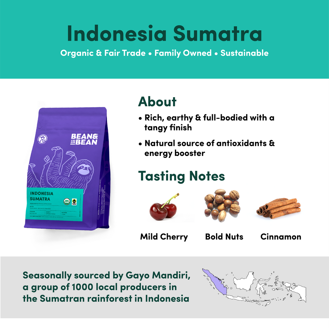 Bean & Bean Indonesia Sumatra coffee with tasting notes of Mild Cherry, Bold Nuts, and Cinnamon. Described as rich, earthy, and full-bodied with a tangy finish. Seasonally sourced from Gayo Mandiri, a group of 1,000 local producers in the Sumatran rainforest. Organic, Fair Trade, Family Owned, and Sustainable.