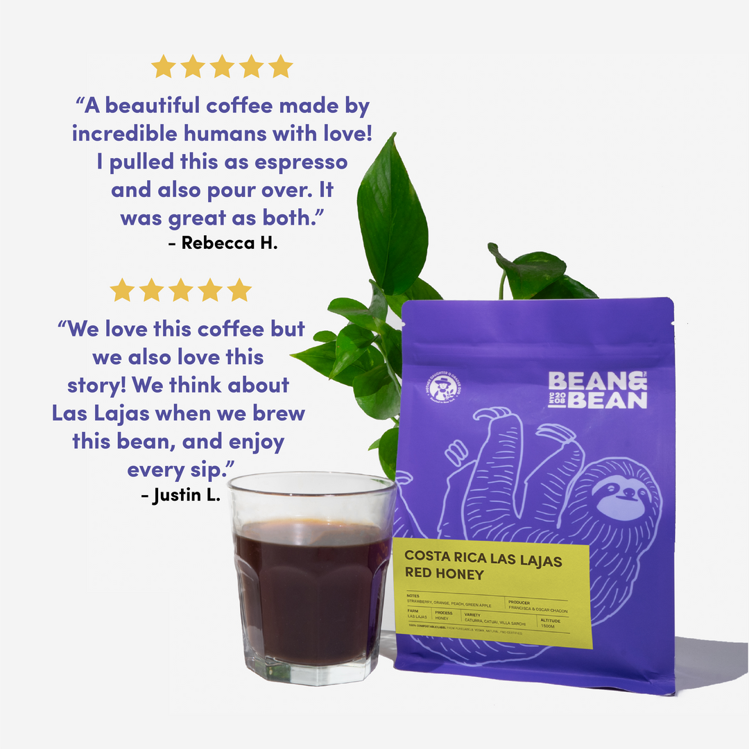 Bean & Bean Costa Rica Las Lajas Red Honey coffee with tasting notes of Strawberry, Peach, Green Apple, and Orange. Features a sweet and fruity honey process. Seasonally harvested by third-generation farmers at the Las Lajas micro mill in Costa Rica. Direct Trade, Family Owned, and Sustainable.