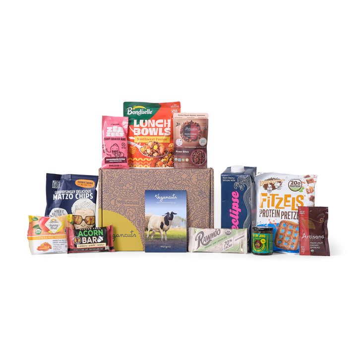 Snack Box - Vacation Snack Stash