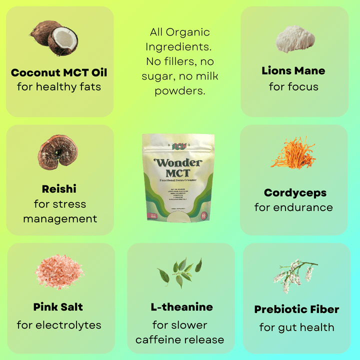 Best Seller Bundle: Wonder Matcha + Wonder MCT Focus Creamer (Save 13%) by Pow