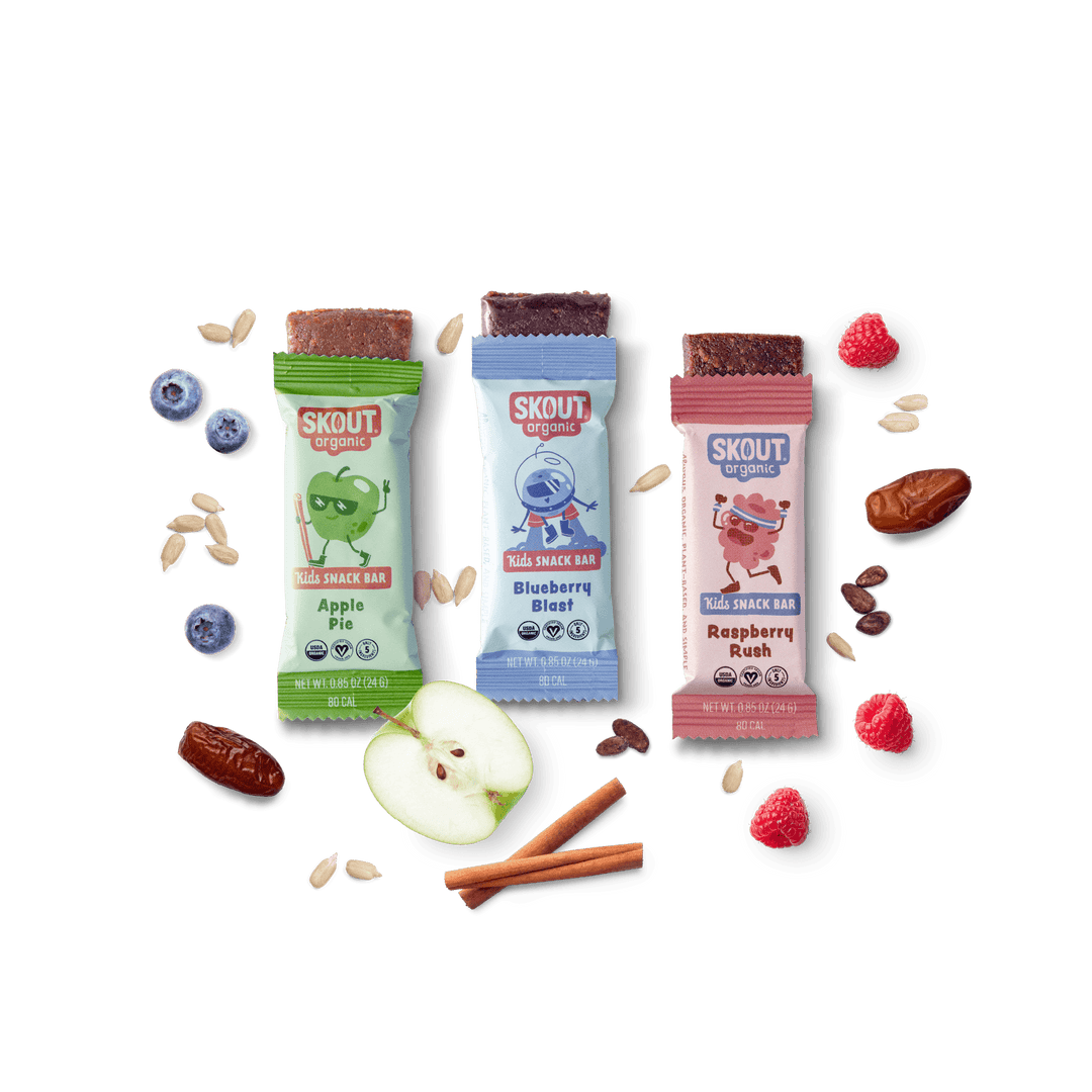 Skout Organic Kids Fruit Bar Variety Pack Organic Kids Bars Skout Organic 