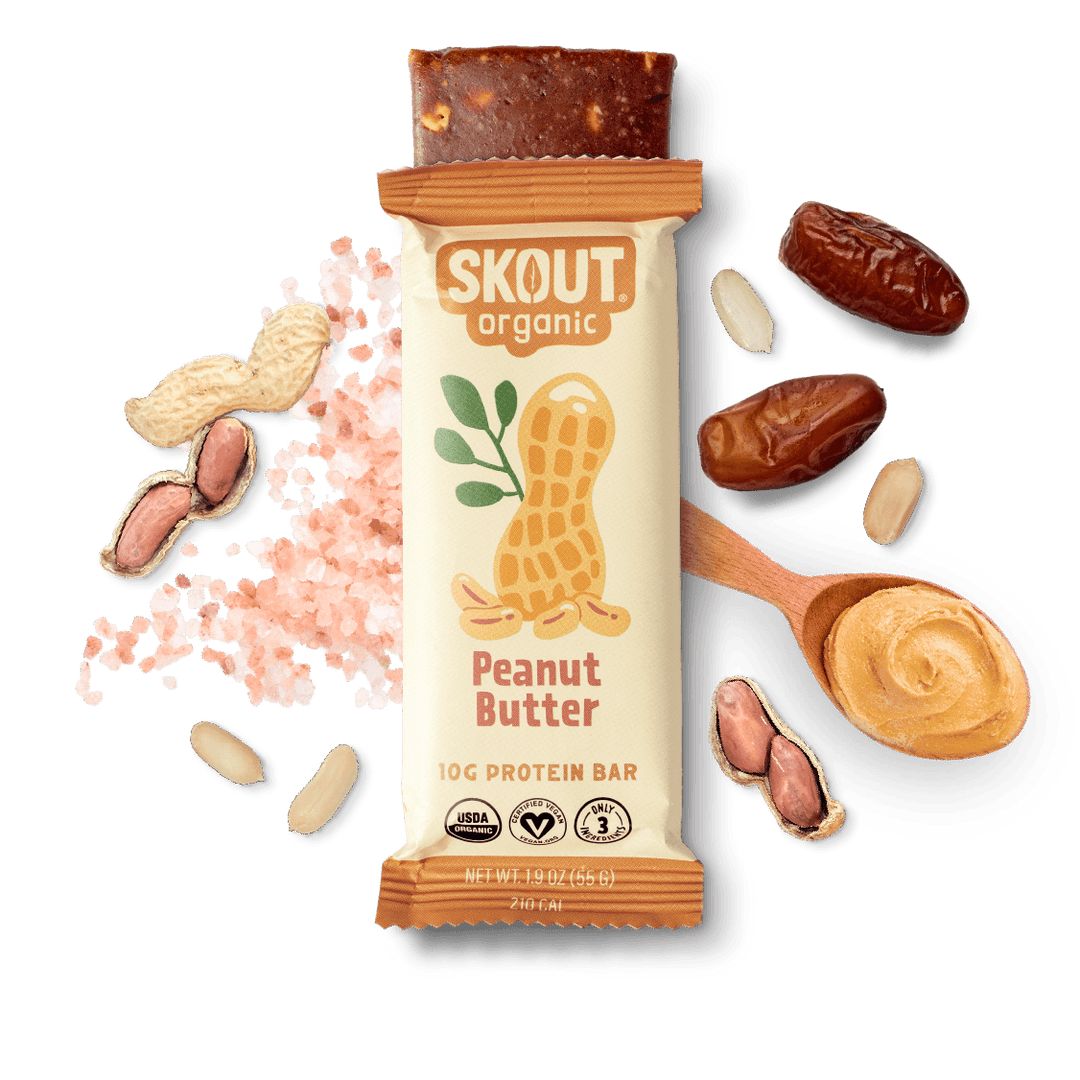 Skout Organic Peanut Butter Protein Bar Organic Protein Bar Skout Organic 