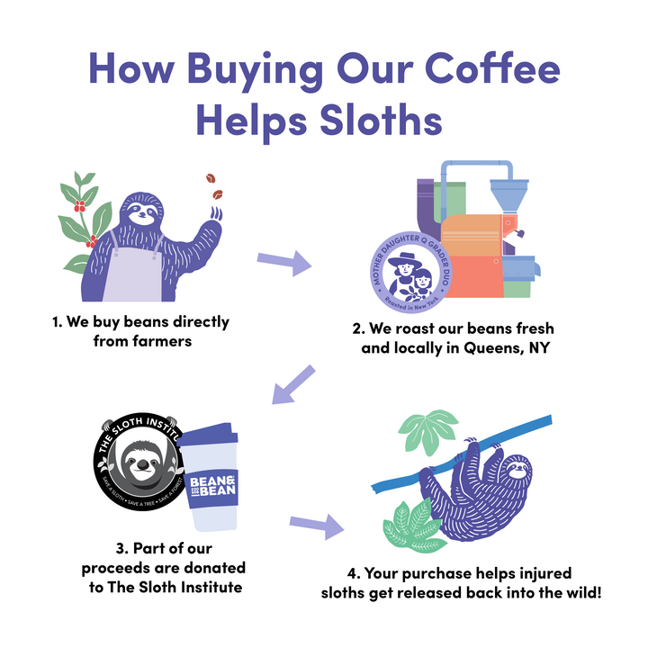 Infographic showing how coffee purchases help sloths: beans are bought from farmers, roasted in Queens, NY, a portion of proceeds go to The Sloth Institute, and injured sloths are released back into the wild.