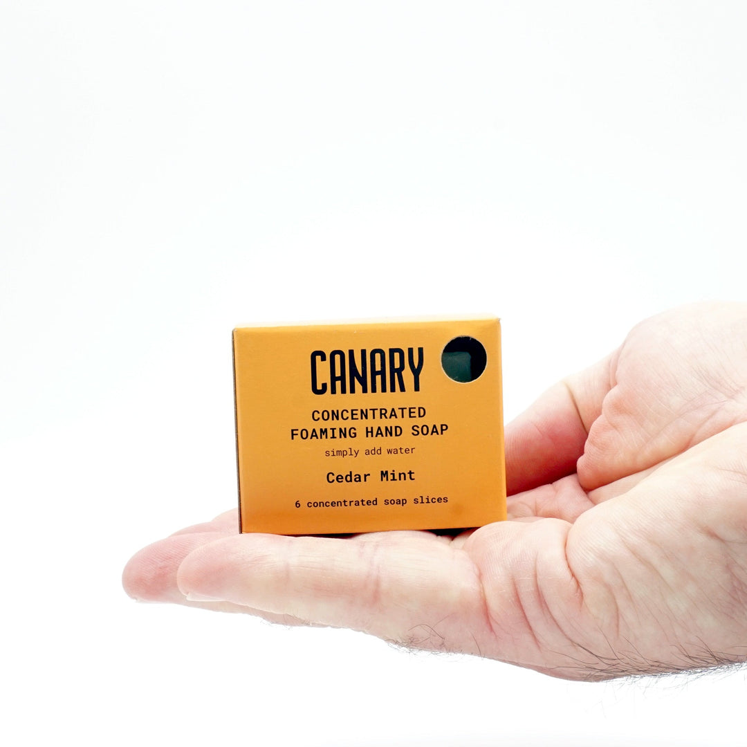 Cedar Mint Concentrated Foaming Hand Soap. 6-slice box, in hand, showing how small it is.