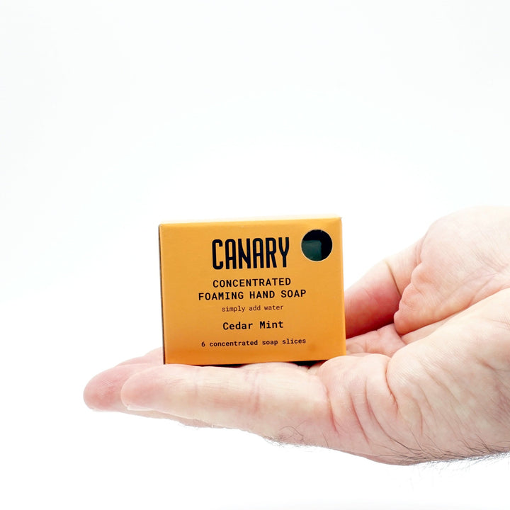 Cedar Mint Concentrated Foaming Hand Soap. 6-slice box, in hand, showing how small it is.