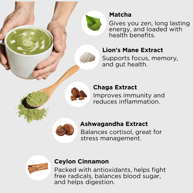 Best Seller Bundle: Wonder Matcha + Wonder MCT Focus Creamer (Save 13%) by Pow