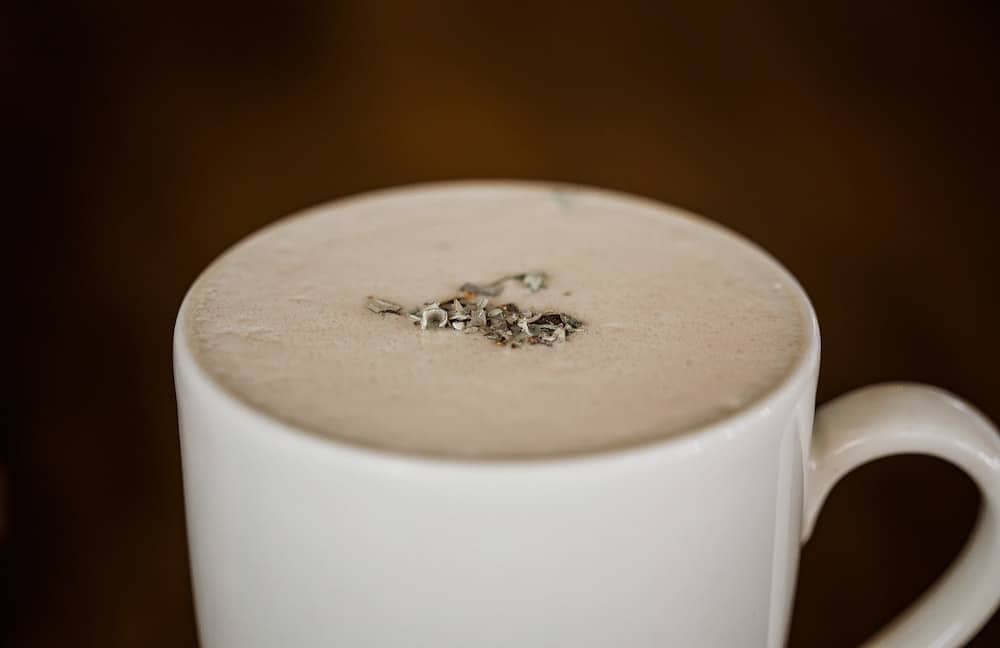 The Vegan Guide to Dairy-Free Eggnog and Winter Holiday Drinks