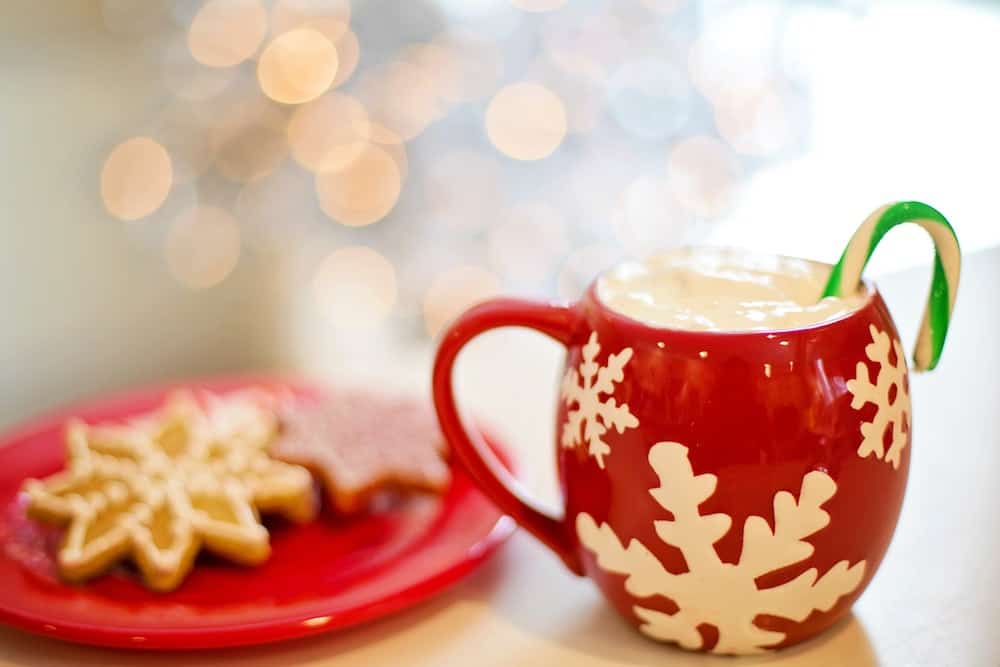 The Vegan Guide to Dairy-Free Eggnog and Winter Holiday Drinks