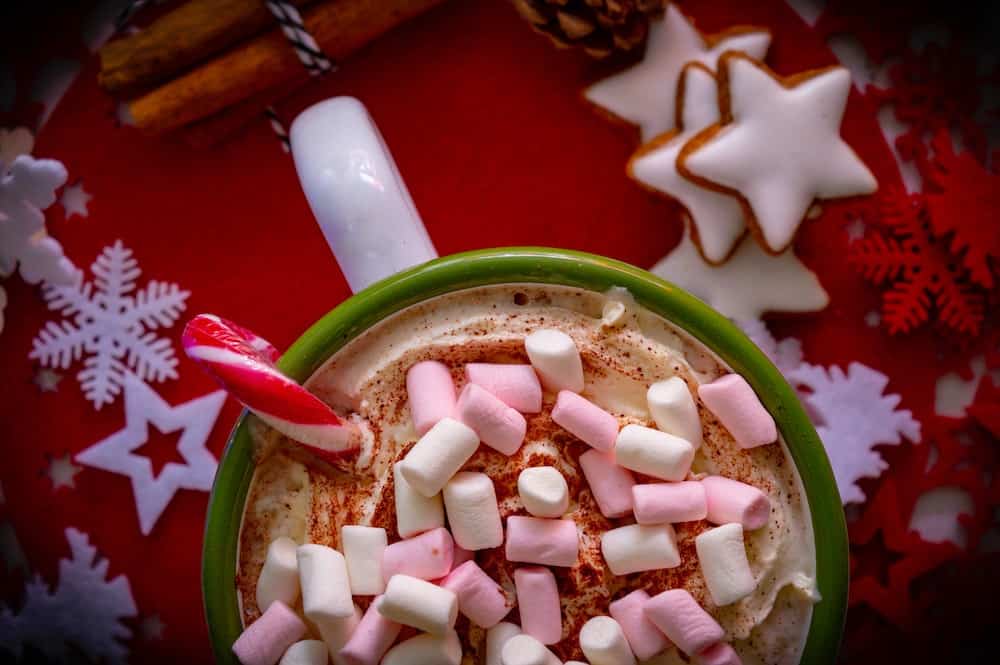 The Vegan Guide to Dairy-Free Eggnog and Winter Holiday Drinks