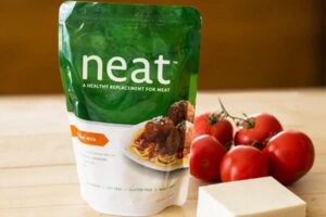 neat meatball sauce