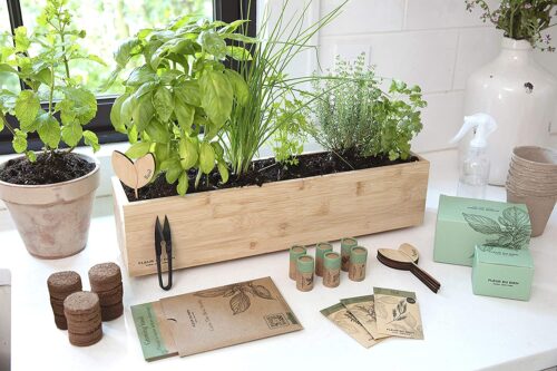 seed planting gifts for employees