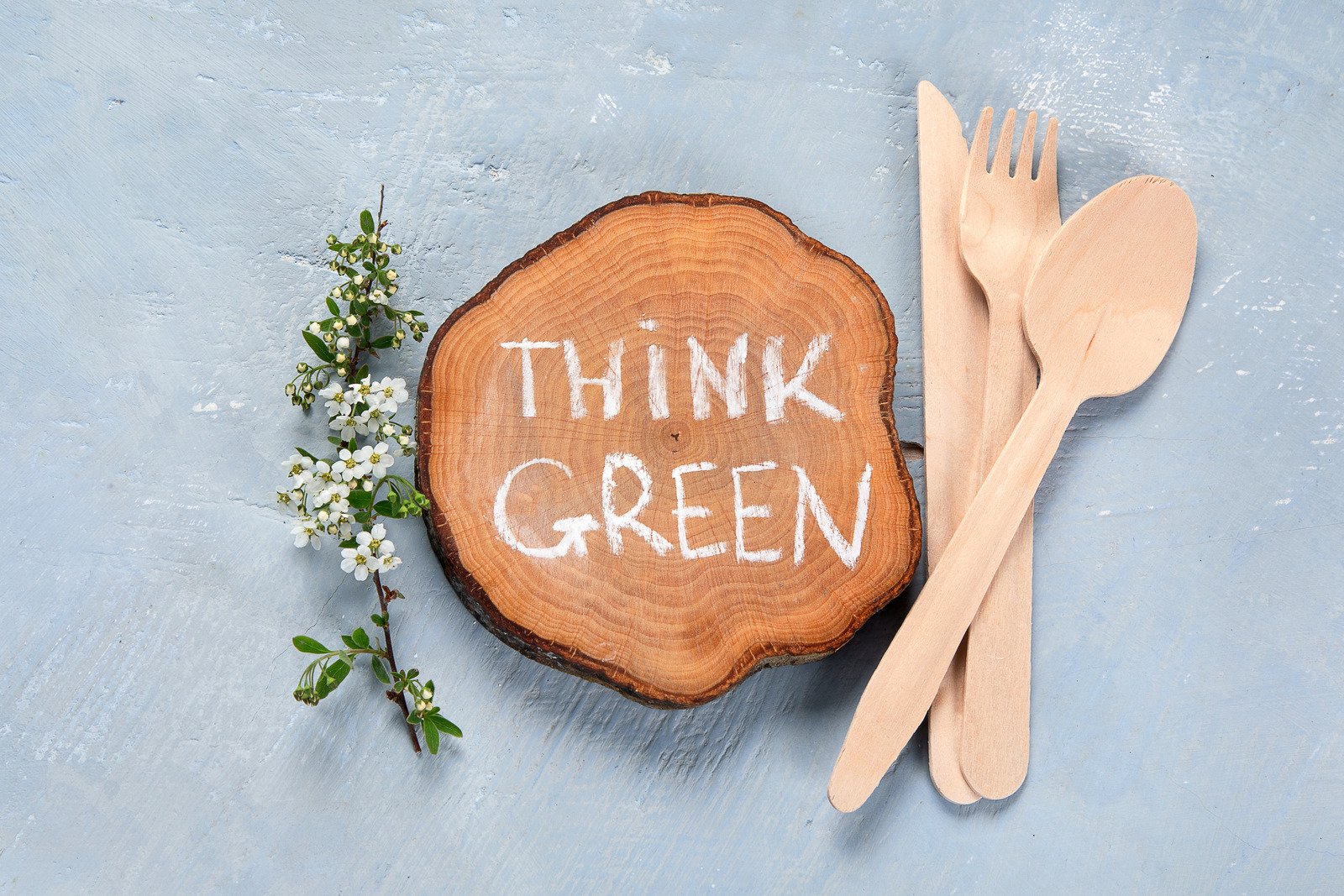 sustainable ways to help the environment