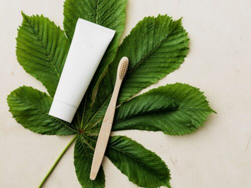 plant based toothpaste and bamboo brush