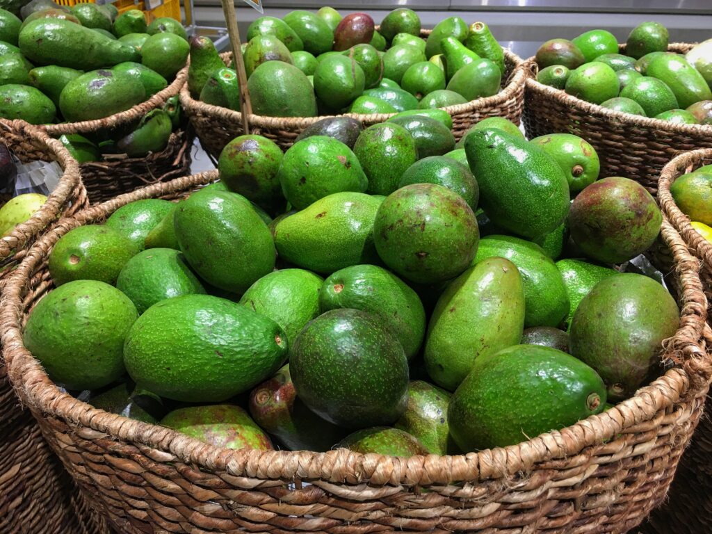 avocados sustainable